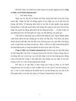 Khảo sát chiến lược kinh doanh của doanh nghiệp du lịch công ty dịch vụ lữ hành saigontourist