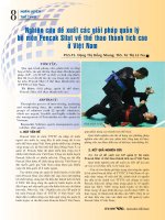Nghiên cứu đề xuất các giải pháp quản lý bộ môn Pencak silat về thể thao thành tích cao ở Việt Nam