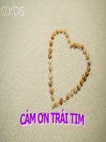 Cam on trai tim