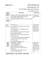 giáo án phụ tuần 33 chủ đề: quê hương đất nước bác Hồ nhánh 1:Quảng Ninh quê hương em
