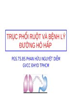 Bài giảng Trục phổi ruột và bệnh lý đường hô hấp - PGS.TS.BS Phan Hữu Nguyệt Diễm