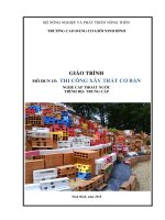 Giáo trình Thi công xây trát cơ bản (Nghề: Cấp thoát nước) - CĐ Cơ Giới Ninh Bình