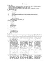 Co Xuong minh hoa BTNB