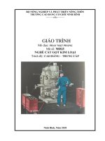 Giáo trình Phay mặt phẳng (Nghề: Cắt gọt kim loại) - CĐ Cơ Giới Ninh Bình