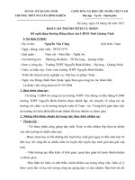 mau bao cao thanh tich ca nhan cstd