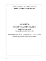 Giáo trình Bạo lực gia đình (Nghề: Công tác xã hội) - CĐ Cơ Giới Ninh Bình