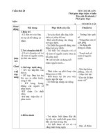 Giáo án tuần 28 chủ đề 