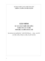 Giáo trình Phát triển cộng đồng (Nghề: Công tác xã hội) - CĐ Cơ Giới Ninh Bình