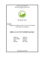 Thực hiện quy trình trồng cây ớt chuông tại farm 36 moshav tzofar vùng arava israel năm 2018  2019 