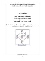 Giáo trình Mạng cơ bản (Nghề: Lập trình máy tính-CĐ) - CĐ Cơ Giới Ninh Bình