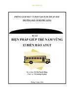 skkn bp giup tre nam bien bao gt