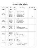 GA L1 TUAN 14 NAM HOC 1213 SOAN HAY