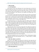 skkn một  số biện pháp xây dựng môi trường giáo dục lấy trẻ làm trung tâm cho trẻ 5 – 6 tuổi tại lớp lá 1, trường mầm non 