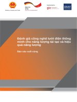 Báo cáo đánh giá công nghệ lưới điện thông minh cho năng lượng tái tạo và hiệu quả năng lượng 