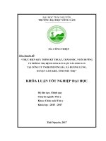 Thực hiện quy trình kỹ thuật chăm sóc nuôi dưỡng và phòng trị bệnh cho đàn lợn nái sinh sản tại công ty tnhh phương hà xã hương lung huyện cẩm khê tỉnh phú thọ 