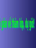 LUYỆN TỪ VÀ CÂU-TUẦN 24-LY