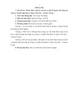Hoàn thiện công tác dự báo và lập kế hoạch bán hàng tại công ty cổ phần tập đoàn y dược việt nam – vietmec group