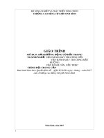 Giáo trình Bảo dưỡng động cơ đốt trong (Nghề: Vận hành máy thi công nền) - CĐ Cơ Giới Ninh Bình