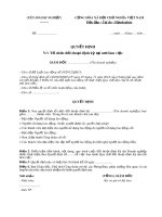 Mẫu Quyết định về việc tổ chức cuộc đối thoại định kỳ tại nơi làm việc