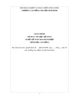 Giáo trình Tin học kế toán (Nghề: Kế toán doanh nghiệp) - CĐ Cơ Giới Ninh Bình