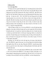 skkn một số kinh nghiệm tổ chức hoạt động ngoài giờ lên lớp đạt hiệu quả ở trường tiểu học có học sinh dân tộc thiểu số 