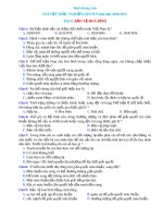 Bài tập trắc nghiệm Giáo dục công dân 9 – Bài 4: Bảo vệ hoà bình