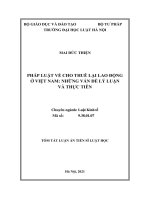Pháp luật về cho thuê lại lao động ở việt nam những vấn đề lý luận và thực tiễn TT 