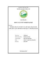 Tìm hiểu công tác tổ chức của chủ trang trại nguyễn công chức tại xã tiên hội huyện đại từ tỉnh thái nguyên 