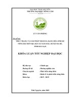 Thực trạng và giải pháp nhằm đa dạng hóa sinh kế nông hộ trên địa bàn xã nam mẫu huyện ba bể tỉnh bắc kạn 