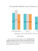 Giải pháp thúc đẩy xuất khẩu mặt hàng gạo của công ty tường lân sang thị trường EU giai đoạn 2017 2019 
