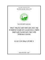 Thực trạng giết mổ lợn mức độ ô nhiễm vi khuẩn salmonella trên thịt lợn tại huyện việt yên tỉnh bắc giang 