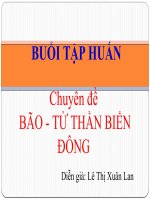 Bao Tu than bien Dong