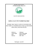 Tìm hiểu thực trạng và đề xuất giải pháp cho phát triển các mô hình trang trại trên địa bàn thành phố sông công tỉnh thái nguyên 