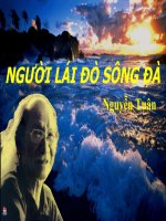 Nguoi lai do song Da