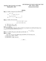 DE THI KSCL DAU NAM TOAN 820122013