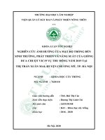 Nghiên cứu ảnh hưởng của mật độ trồng đến sinh trưởng, phát triển và năng suất của giống dưa chuột VIC19 vụ thu đông năm 2019 tại thị trấn xuân mai, huyện chương mỹ, TP  hà nội