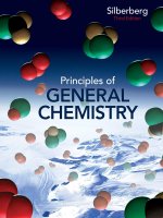 Preview Principles of General Chemistry, 3rd Edition by Martin Silberberg (2012)