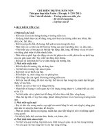 giao an Ke hoach nam hoc 20122013