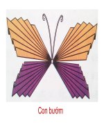 GADT- Thủ công lop2- Tuan 32 : Làm con bướm
