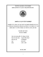 Nghiên cứu công tác kế toán tập hợp chi phí sản xuất và tính giá thành sản phẩm tại công ty cổ phần tư vấn khoa học và công nghệ cao thăng long, hà nội 