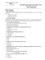 DE KCCLDN TIENG VIET 520122013