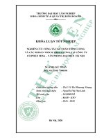 Nghiên cứu công tác kế toán tiền lương và các khoản trích theo lương tại công ty cổ phần MISA, văn phòng đại diện hà nội 