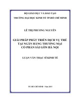 Tài liệu luận văn Giải Pháp Phát Triển Dịch Vụ Thẻ Tại Ngân Hàng Thương Mại