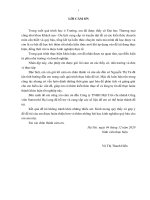 Hoàn thiện quản trị nhân lực của bộ phận Hướng dẫn tại Công ty TNHH Mặt Trời, chi nhánh Công viên Sun World Hạ Long, Quảng Ninh