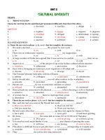 Bai kiem tra Unit 2 Cultural Diversity