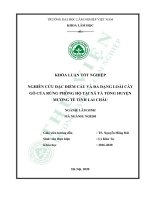 Nghiên cứu đặc điểm cấu trúc và đa dạng loài cây gỗ của rừng phòng hộ tại xã tà tổng, huyện mường tè, tỉnh lai châu (khóa luận   lâm học) 