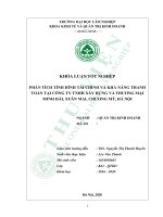 Phân tích tình hình tài chính và khả năng thanh toán tại công ty TNHH xây dựng và thương mại minh hải, xuân mai, chương mỹ, hà nội(khóa luận   kinh tế và quản trị kinh doanh) 