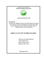 Áp dụng quy trình kỹ thuật tổng hợp trong chăn nuôi lợn nái và lợn con theo mẹ nuôi tại trại chăn nuôi lợn nái phạm đức hùng phú thọ thuộc công ty cổ phần chăn nuôi c p việt nam 
