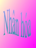 nhan hoa