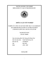 Nghiên cứu công tác kế toán tiêu thụ và xác định kết quả kinh doanh tại công ty cổ phần đại phát composite, đông sơn, chương mỹ, hà nội 
